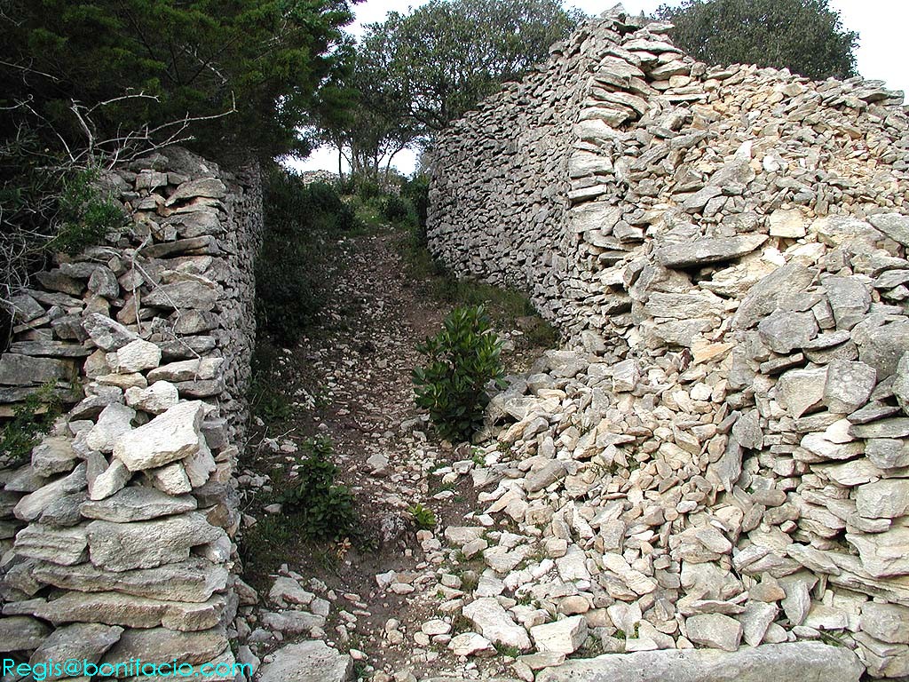 Image de Bonifacio 2001